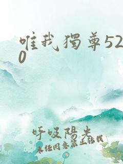 唯我独尊5200