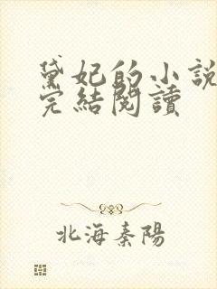 黛妃的小说全文完结阅读