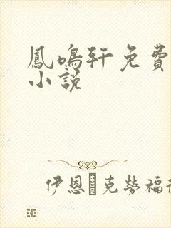 凤鸣轩免费言情小说