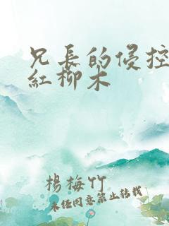 兄长的侵控by红柳木