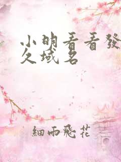 小明看看发布永久域名