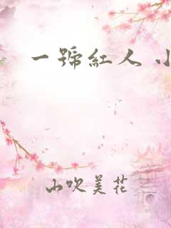 一号红人 小说