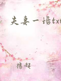 夫妻一场txt