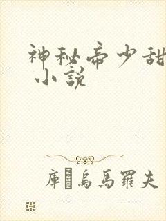神秘帝少甜宠妻 小说