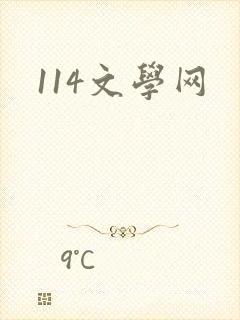 114文学网
