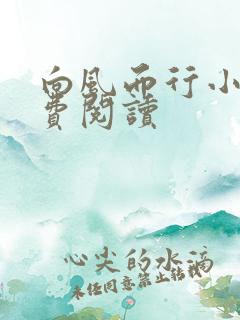 向风而行小说免费阅读