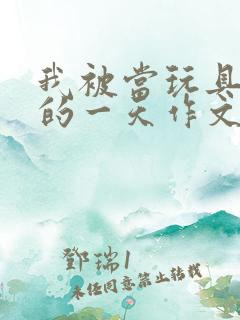 我被当玩具发泄的一天作文