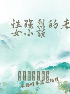 性强烈的老年妇女小说