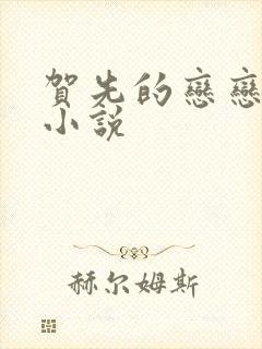 贺先的恋恋不忘小说