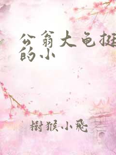 公翁大龟挺进我的小