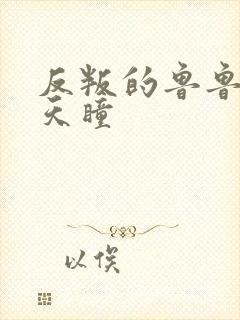 反叛的鲁鲁修之天瞳