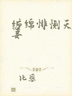 缠绵悱恻天价前妻