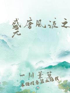 盛唐风流之武状元