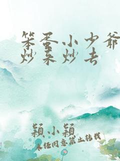 笨蛋小少爷又被炒来炒去