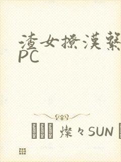 渣女撩汉系统NPC