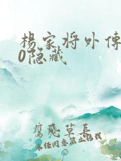 杨家将外传2.0隐藏