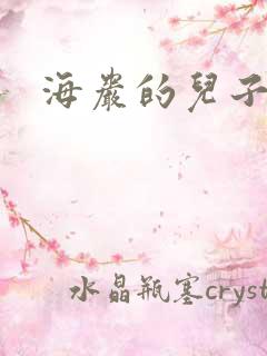 海岩的儿子