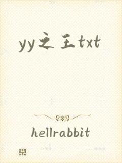 yy之王txt