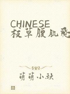 CHINESE校草腹肌飞机视频