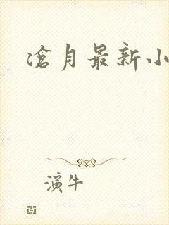 沧月最新小说