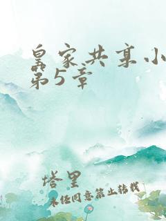 皇家共享小公主第5章