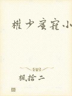 权少蜜宠小娇妻