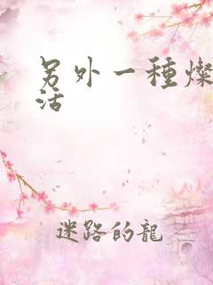 另外一种灿烂生活