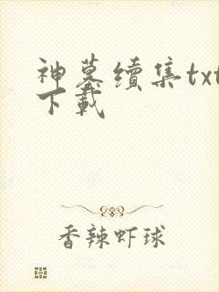 神墓续集txt下载