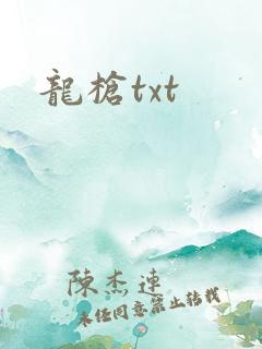 龙枪txt
