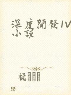 深度开发1V3小说