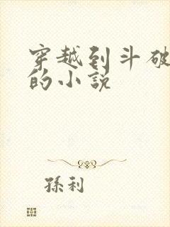 穿越到斗破苍穹的小说