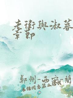 老卫与淑蓉全部章节