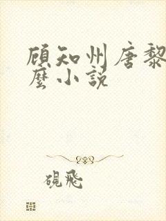 顾知州唐黎叫什么小说