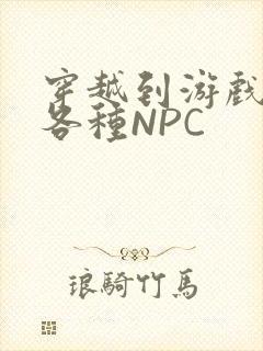 穿越到游戏里和各种NPC