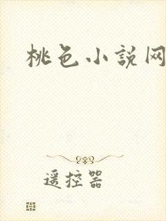 桃色小说网