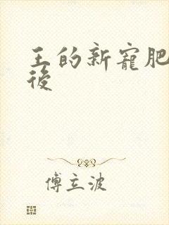 王的新宠肥婆皇后