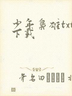 少年枭雄txt下载