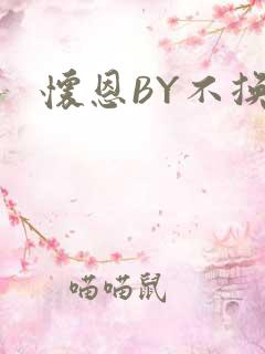 怀恩BY不换