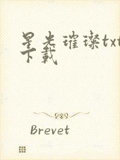 星光璀璨txt下载