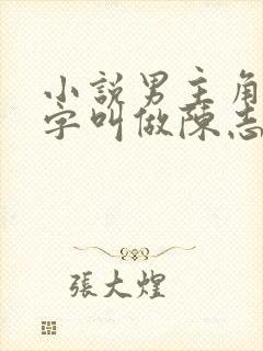 小说男主角的名字叫做陈志远