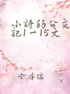 小诗的公交车日记1一15文