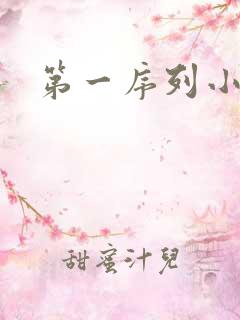 第一序列小说