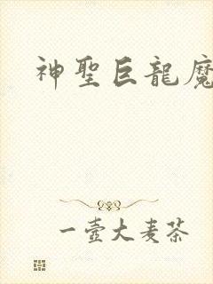 神圣巨龙魔法师