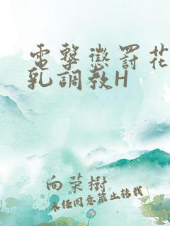 电击惩罚花蒂榨乳调教H