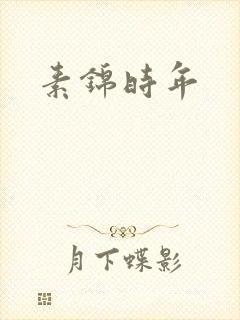 素锦时年