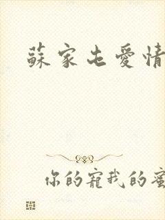 苏家屯爱情故事