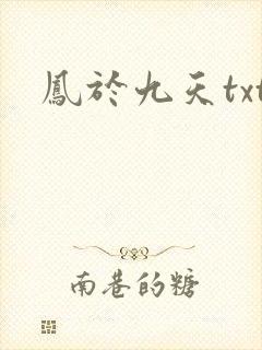 凤于九天txt
