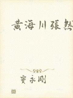 黄海川张然