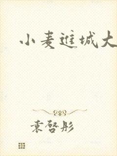 小麦进城大结局