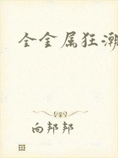 全金属狂潮小说